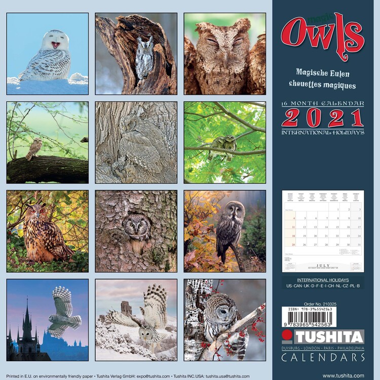 2021 Owls Wall Calendar 