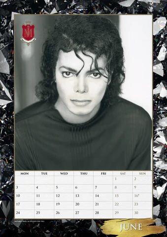 Michael Jackson Wall Calendar 2024 - Erna Odette