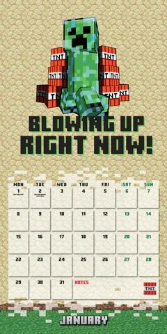 2024 Minecraft - 15 Year Anniversary Collector's Edition Calendar & Push  Pins