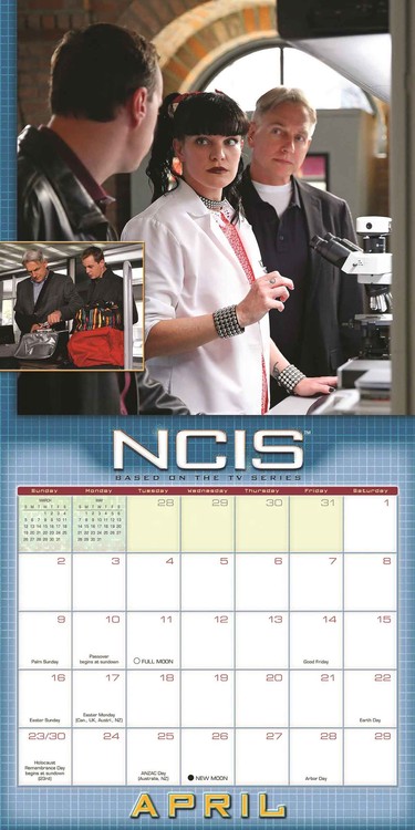 NCIS - Wall Calendars 2017 | Buy at Europosters