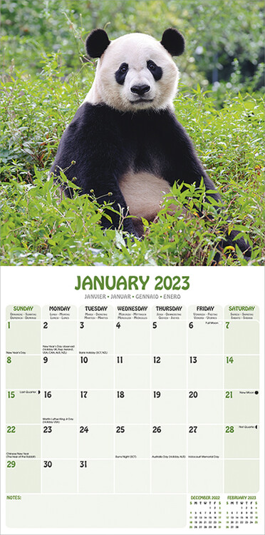 Calendar 2023 Pandas