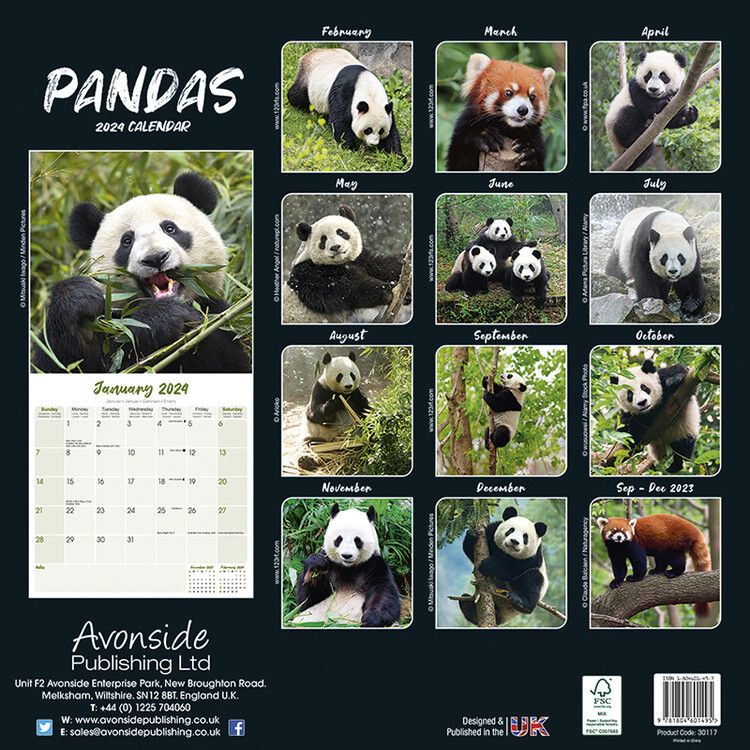 Pandas I179233 