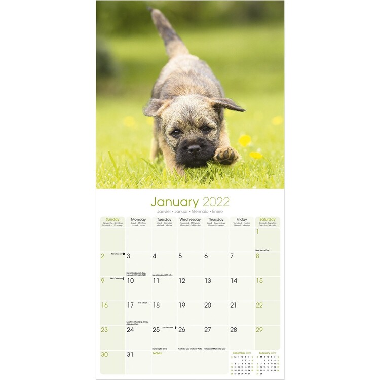Calendar 2022 Pups