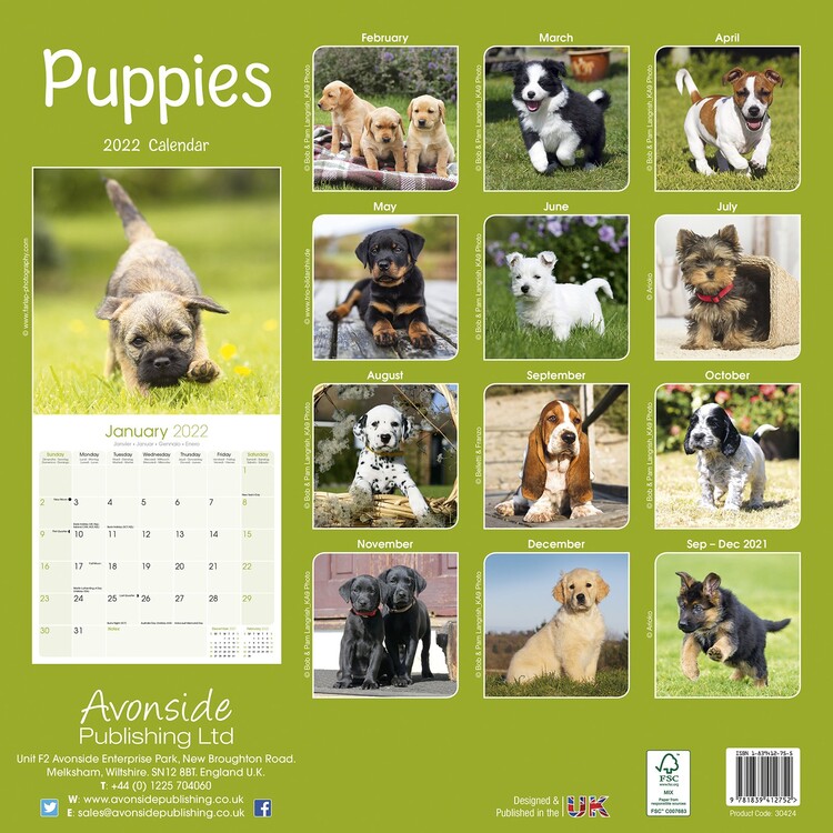 Calendar 2022 Pups