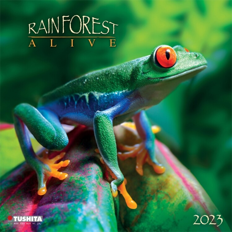 Calendar 2023 Rainforest Alive
