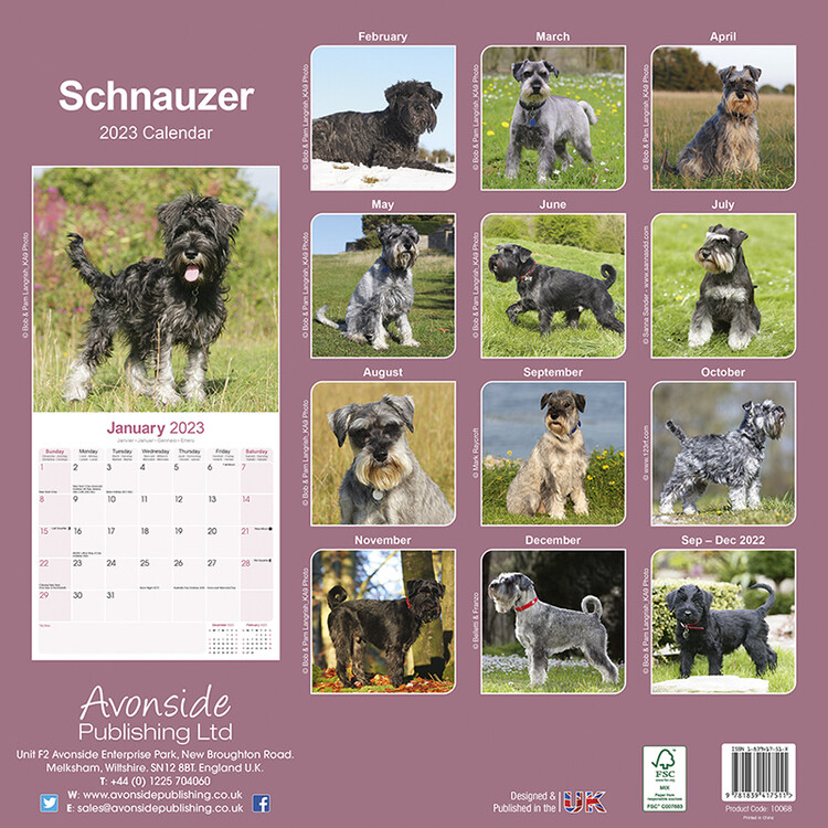 Calendar 2023 Schnauzer