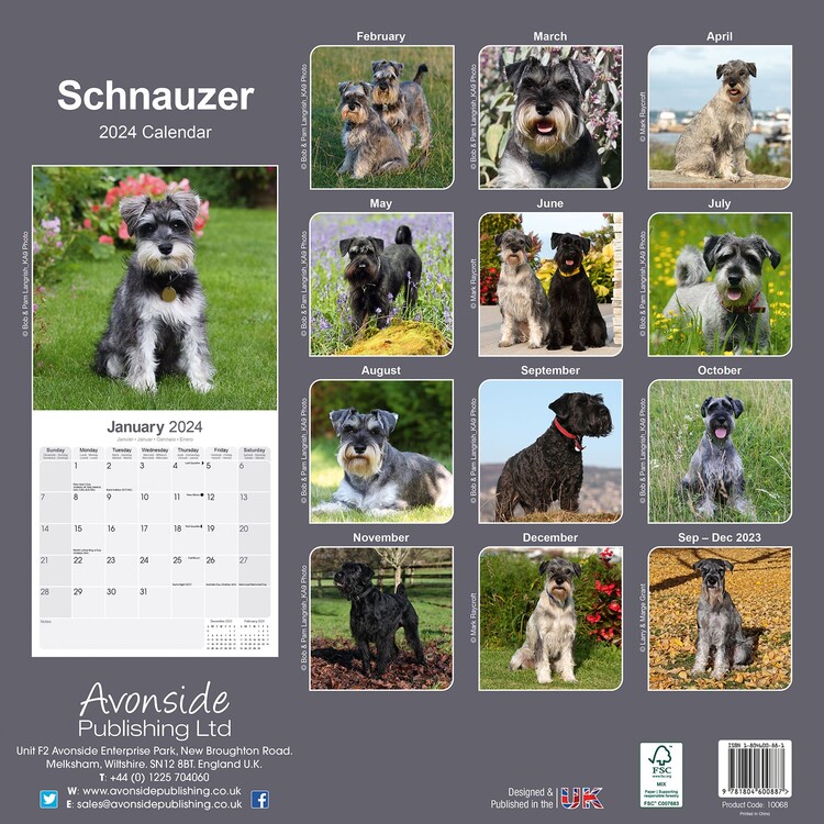 Schnauzer Wall Calendars 2024 Buy at Europosters