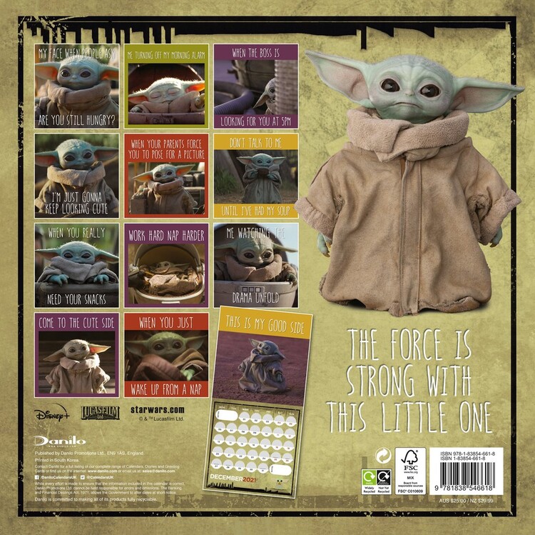 Wall Calendar: 2024 Star Wars: The Mandalorian - The Child Wall