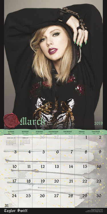 Taylor Swift Wall Calendars 2022 Large Selection