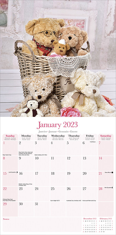 https://cdn.europosters.eu/image/750/calendars/teddy-bears-i135901.jpg