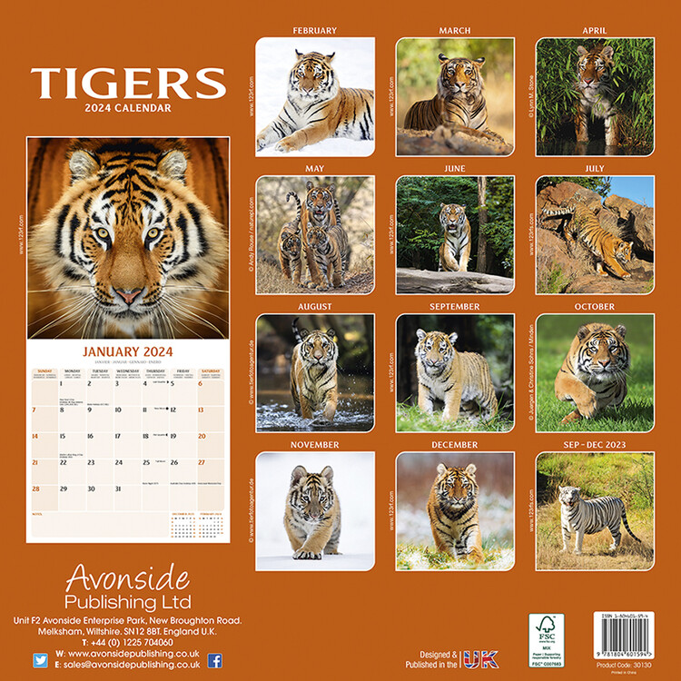 Calendario Tiger 2024 Jeane Lorelle