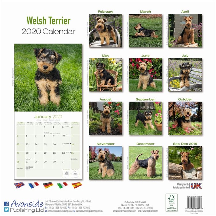 Calendar 2020 Welsh Terrier