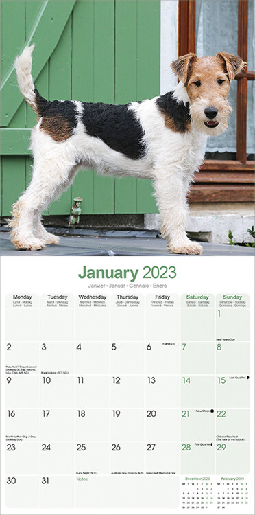 Calendar 2023 Wire Fox Terrier