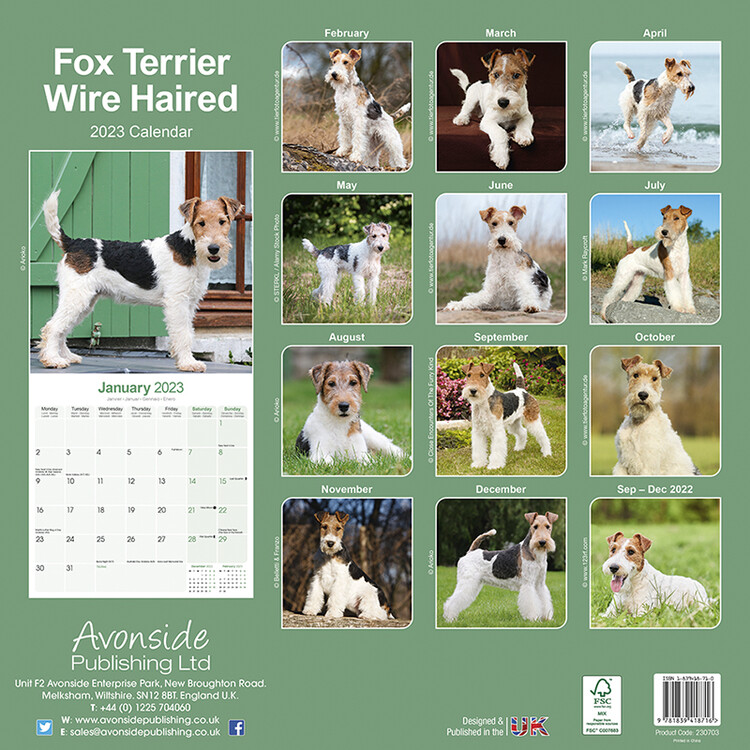 Calendar 2023 Wire Fox Terrier