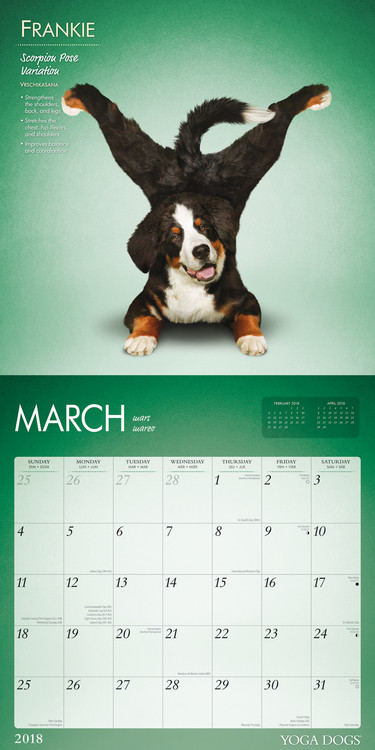 Yoga Dogs - Wall Calendars 2018 | Buy at 