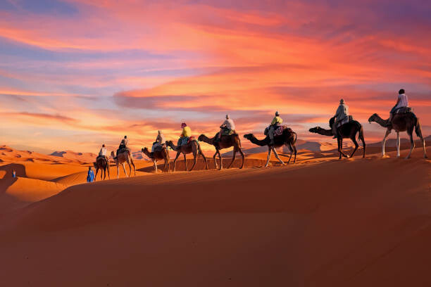 Αυτοκόλλητο Camel caravan going through the Sahara