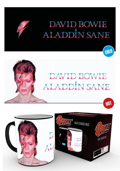 Caneca David Bowie - Aladdin Sane