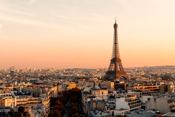 Canvas Print Aerial view of Paris streets and