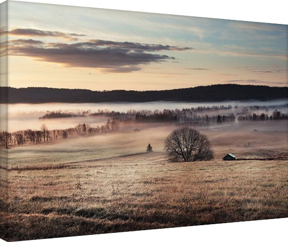 Canvas Print Andreas Stridsberg - Misty Morning