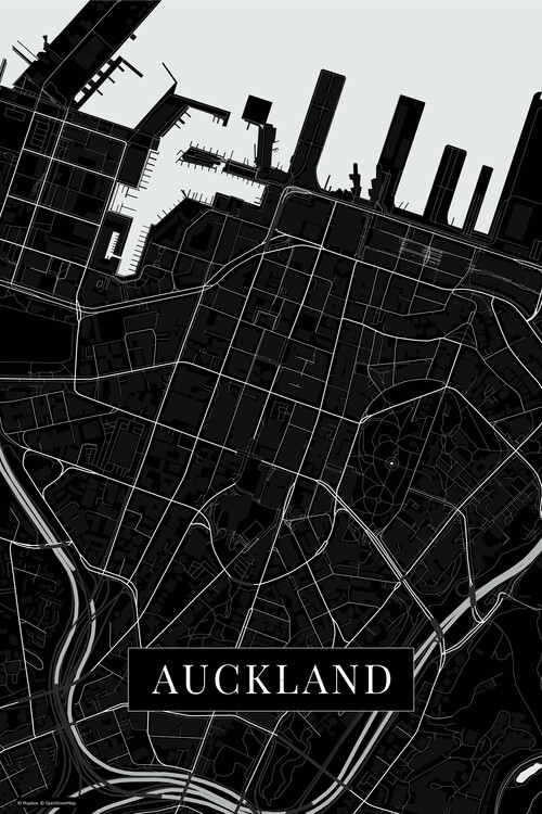 Canvas Print Auckland black