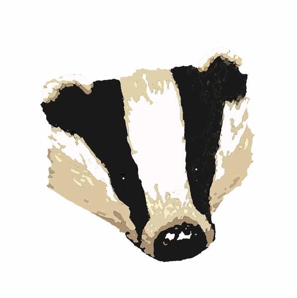 Canvas Print Badger