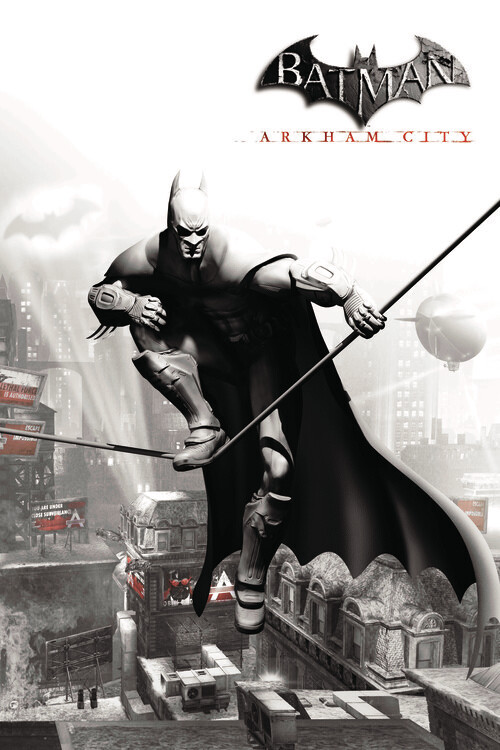 Wall Art Print Batman Arkham City - Flight