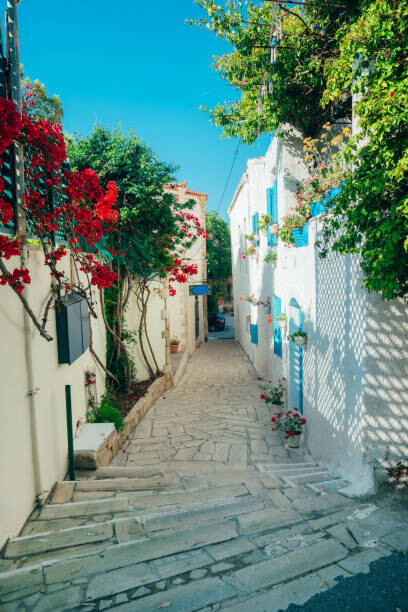 Canvas Print Beautiful alley street in greece style