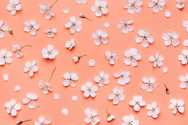 Canvas Print Beautiful floral wallpaper.