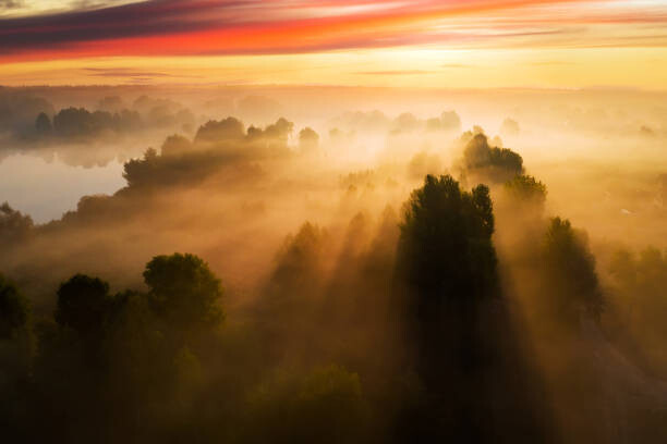 Canvas Print Beautiful misty dawn in the spring