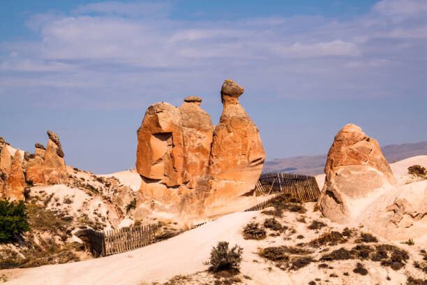 Canvas Print Camel Rockin Devrent Valley at Cappadocia.