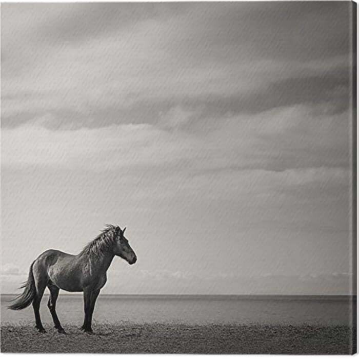 Canvas Print Carys Jones - Contemplation