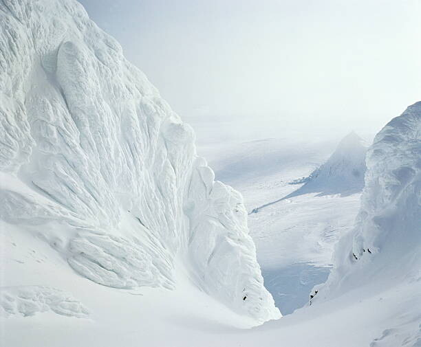 Canvas Print Cauliflower ice formations in snow-covered landscape