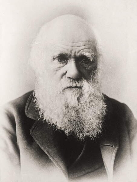 Canvas Print Charles Darwin