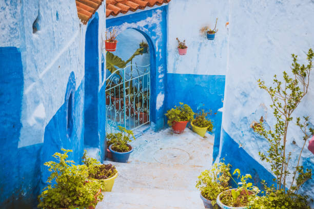 Canvas Print Chefchaouen Blue city of Morocco