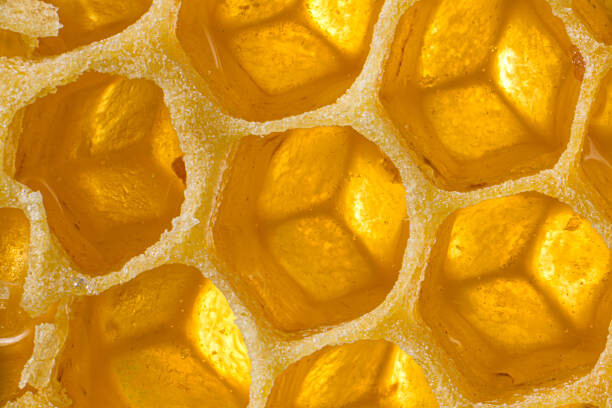 Canvas Print Close up honeycomb