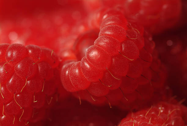 Canvas Print Close up of red raspberries (Rubus idaeus)