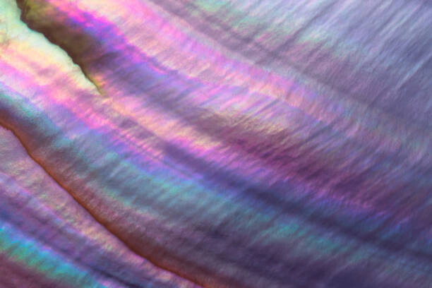 Canvas Print Colorful Pearl Shell Macrophotography
