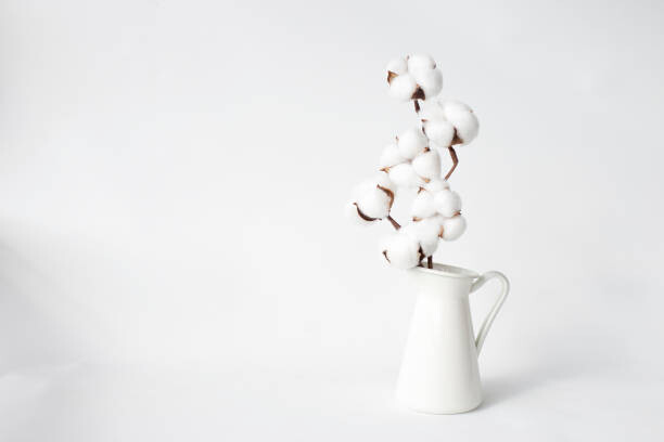 Canvas Print Cotton in a vase