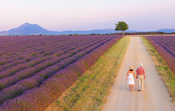 Canvas Print Couple walking on roadway between lavender fields