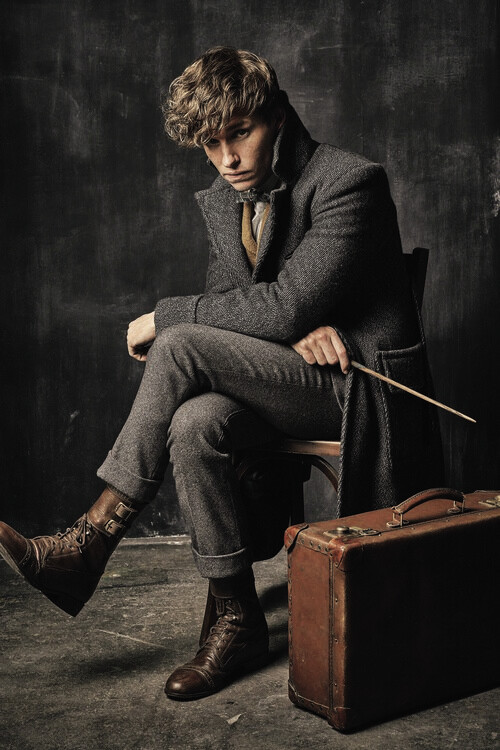 Canvas Print Fantastic Beasts - Newt Scamander