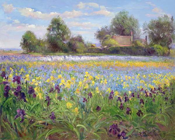 Canvas Print Farmstead and Iris Field, 1992