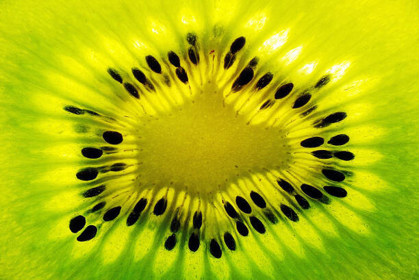 Canvas Print Fresh kiwi fruit slice