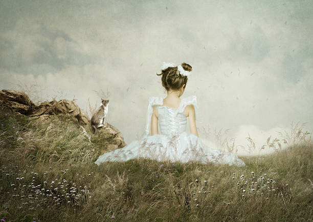 Canvas Print Girl and cat sitting in the field