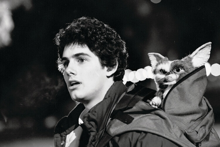 Canvas Print Gremlins - Zach Galligan