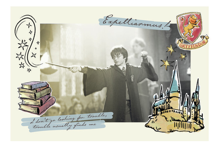 Canvas Print Harry Potter - Expelliarmus