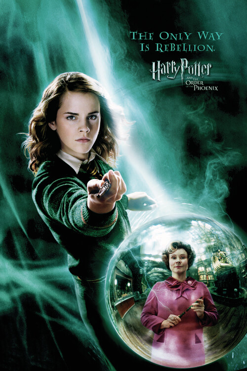 Canvas Print Harry Potter - Hermione Granger