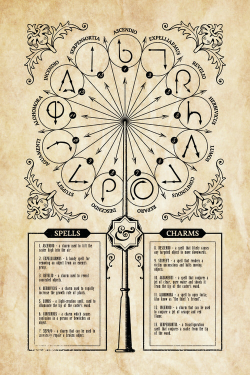 Canvas Wall Art Harry Potter - Spells Charms | Canvas Prints 