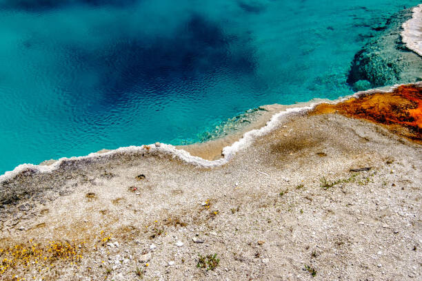 Canvas Print Hot thermal spring in Yellowstone