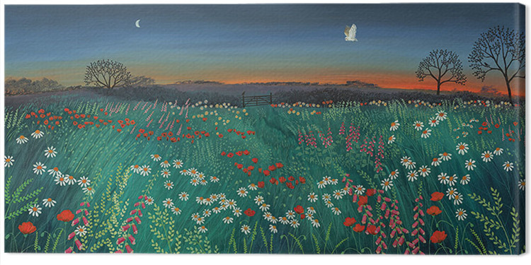 Canvas Print Jo Grundy - Twilight Meadow