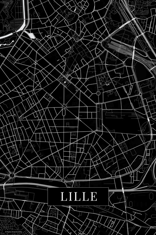 Canvas Print Lille black